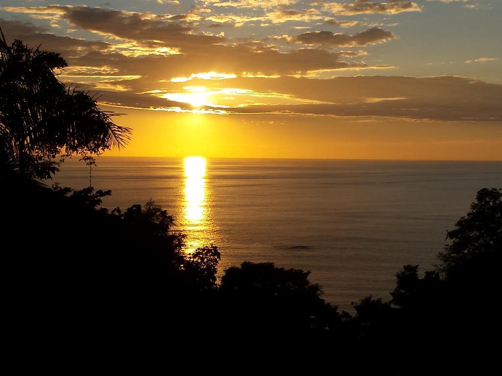 Coyaba Tropical Elegant Adult Guesthouse Manuel Antonio Exteriör bild